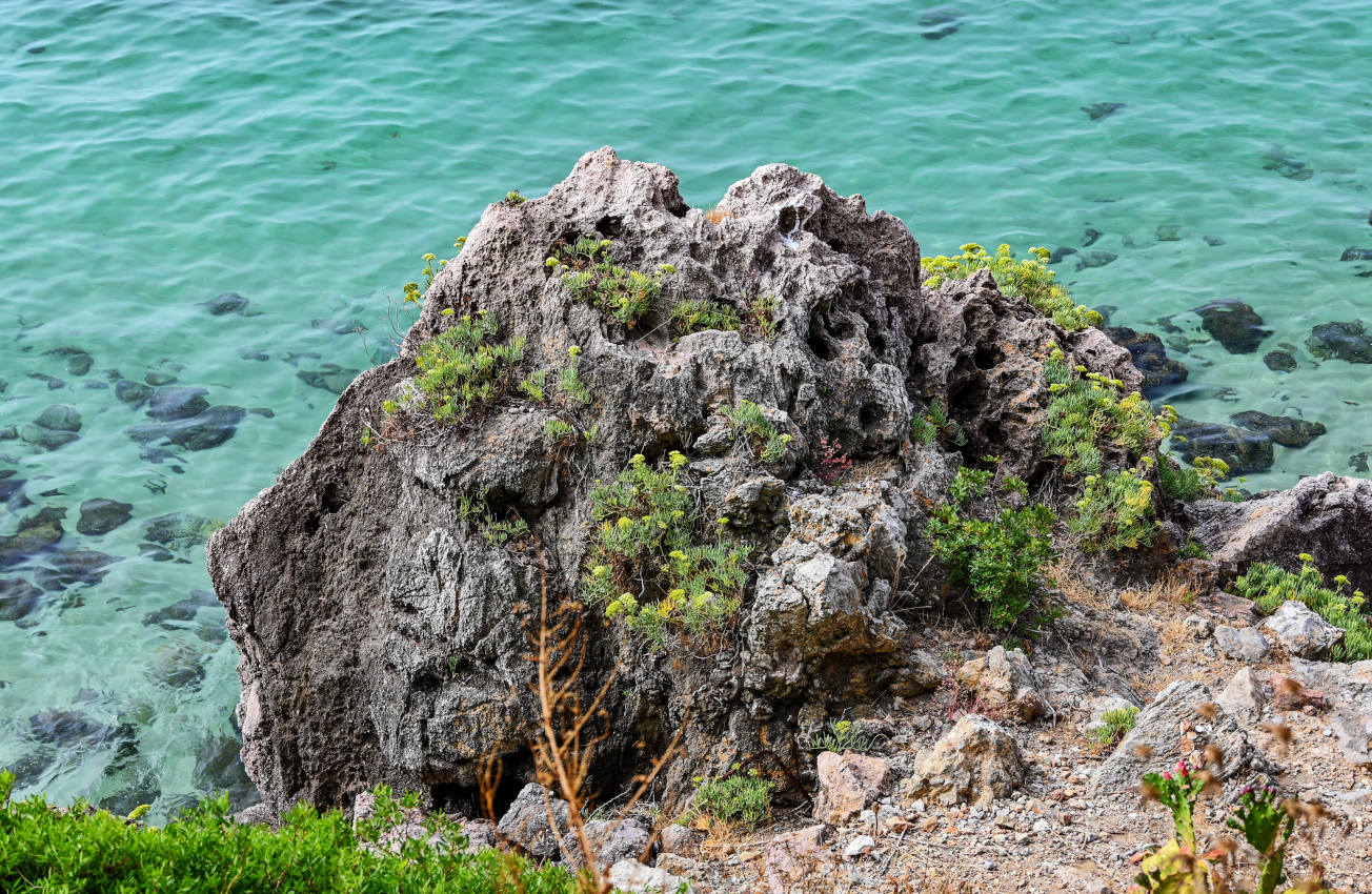 Фигеринья, изображение ландшафта.