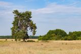 Image of landscape