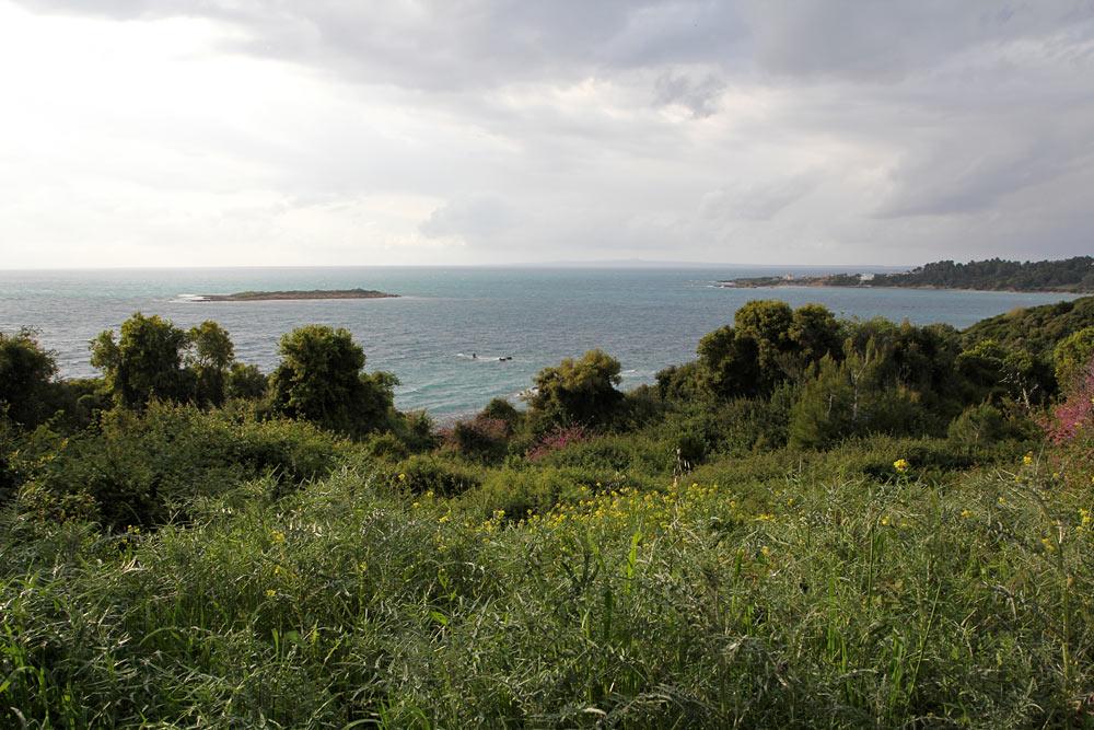 Катаколо, image of landscape/habitat.