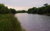 Милоградово, image of landscape/habitat.
