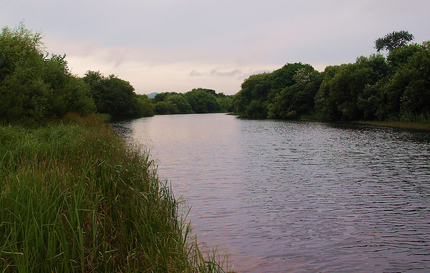 Милоградово, image of landscape/habitat.