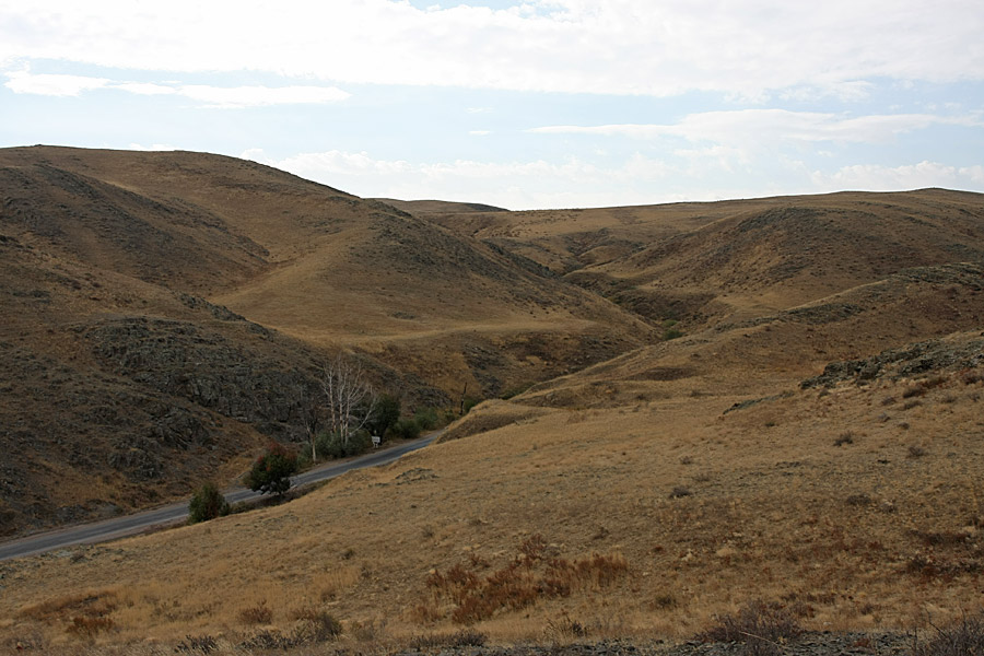 Куюк, image of landscape/habitat.