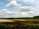Image of landscape