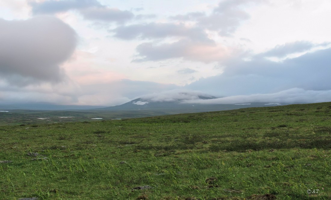 Верховья Большой Усы, image of landscape/habitat.