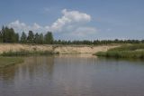 Излучина реки Кодун, image of landscape/habitat.