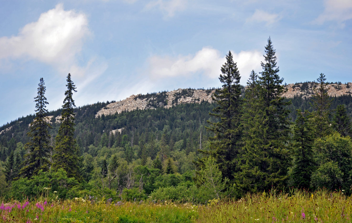 Хребет Зюраткуль, image of landscape/habitat.