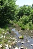 Окрестности урочища Таргим, image of landscape/habitat.