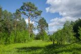 Синие скалы и окрестности, image of landscape/habitat.