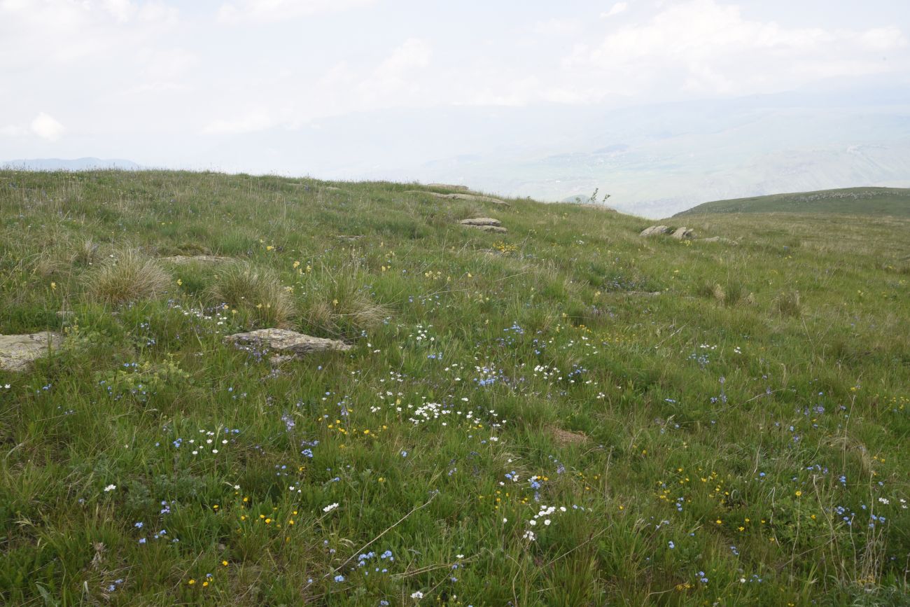 Урочище Тба, image of landscape/habitat.
