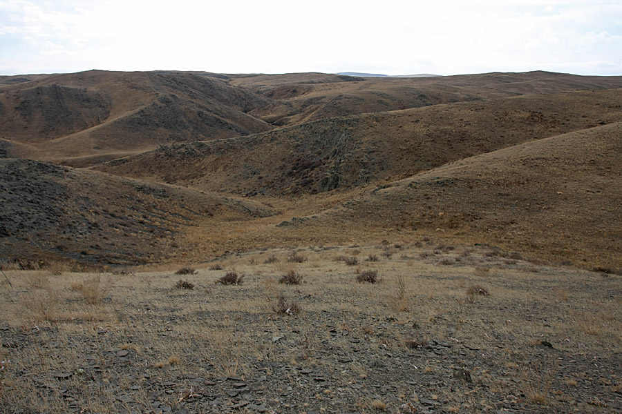 Куюк, image of landscape/habitat.