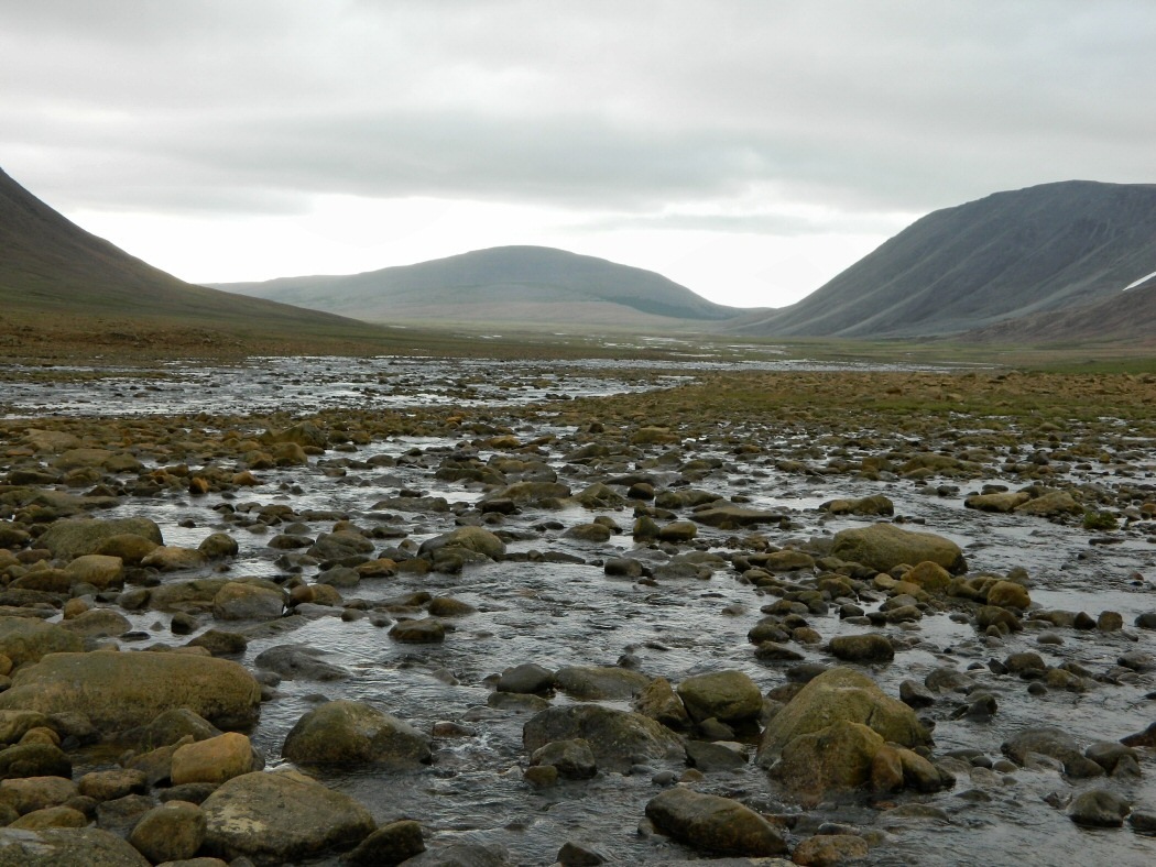 Хойла, image of landscape/habitat.