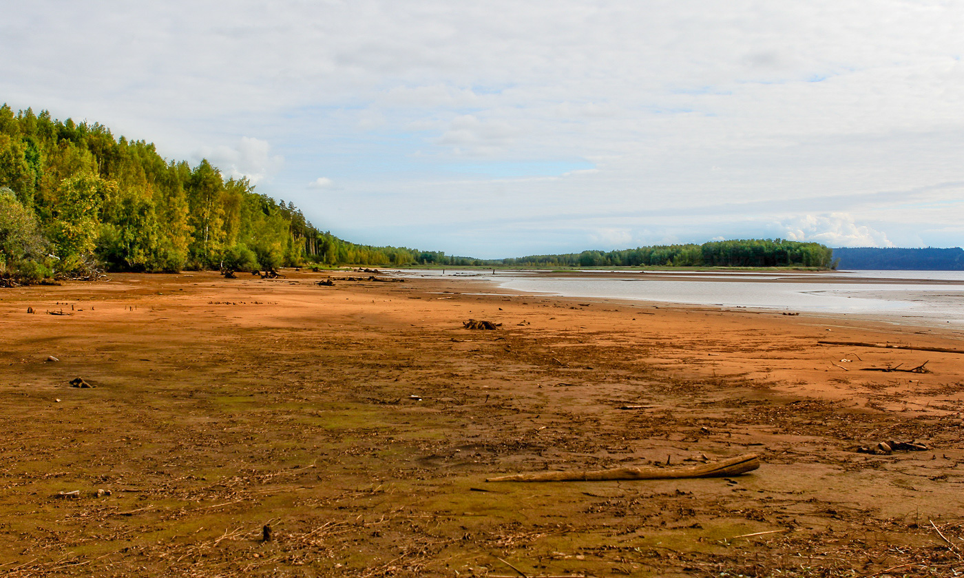 Кунчурихинский бор, image of landscape/habitat.