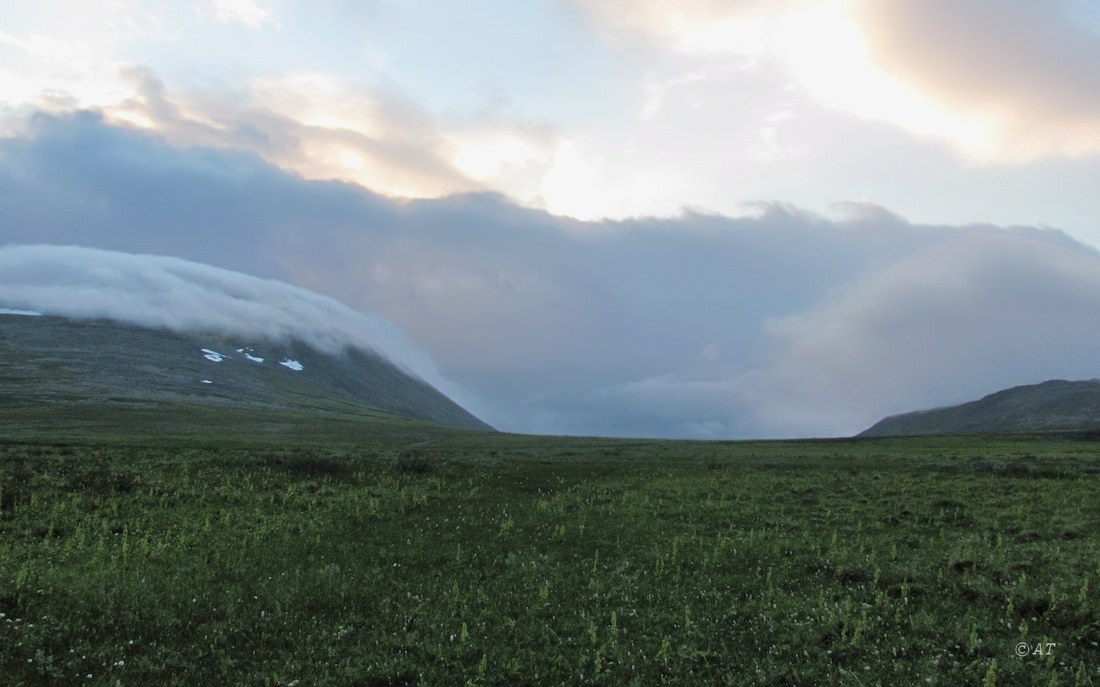 Верховья Большой Усы, image of landscape/habitat.