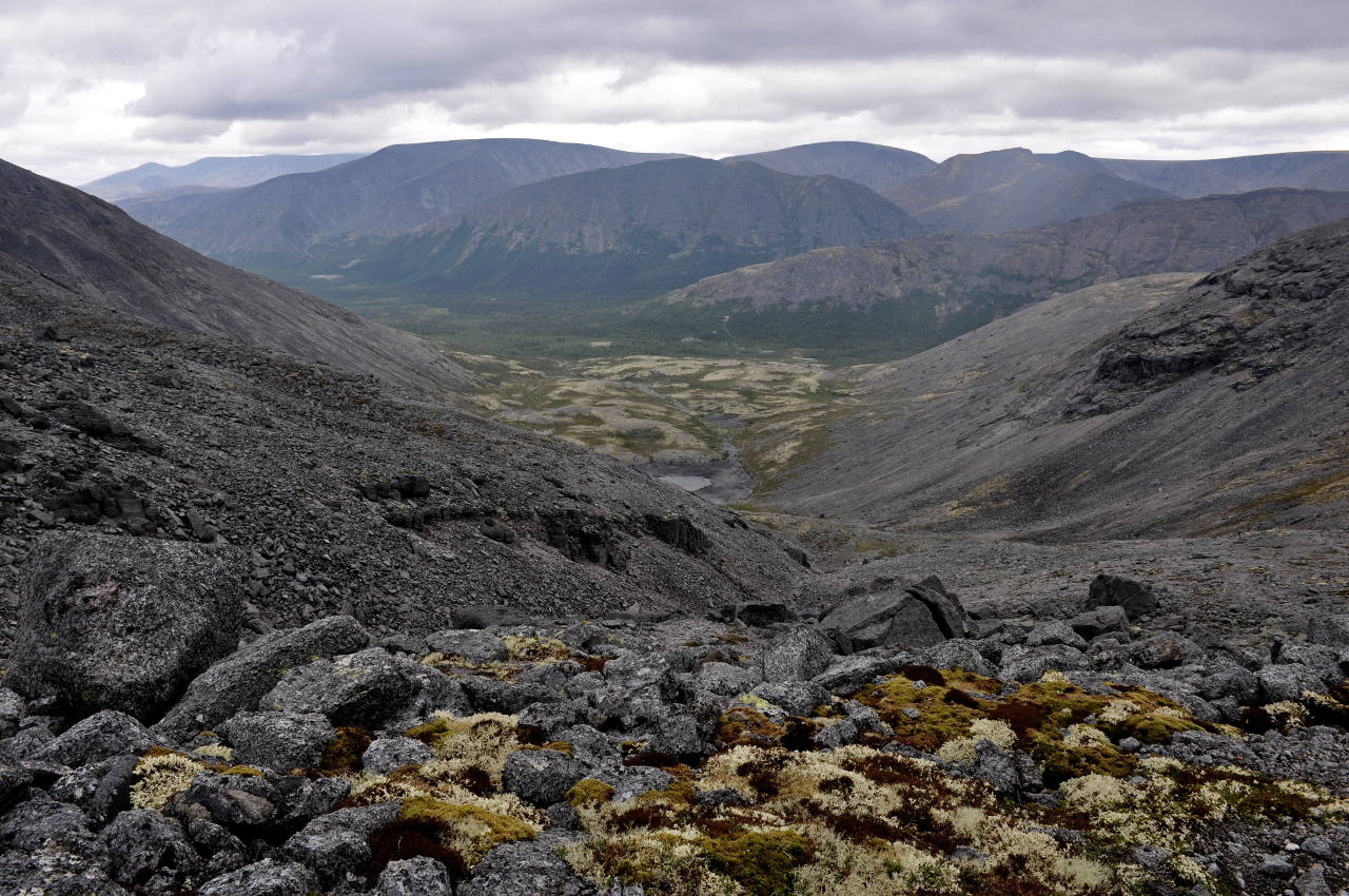 Перевал Южный Чорргор, image of landscape/habitat.