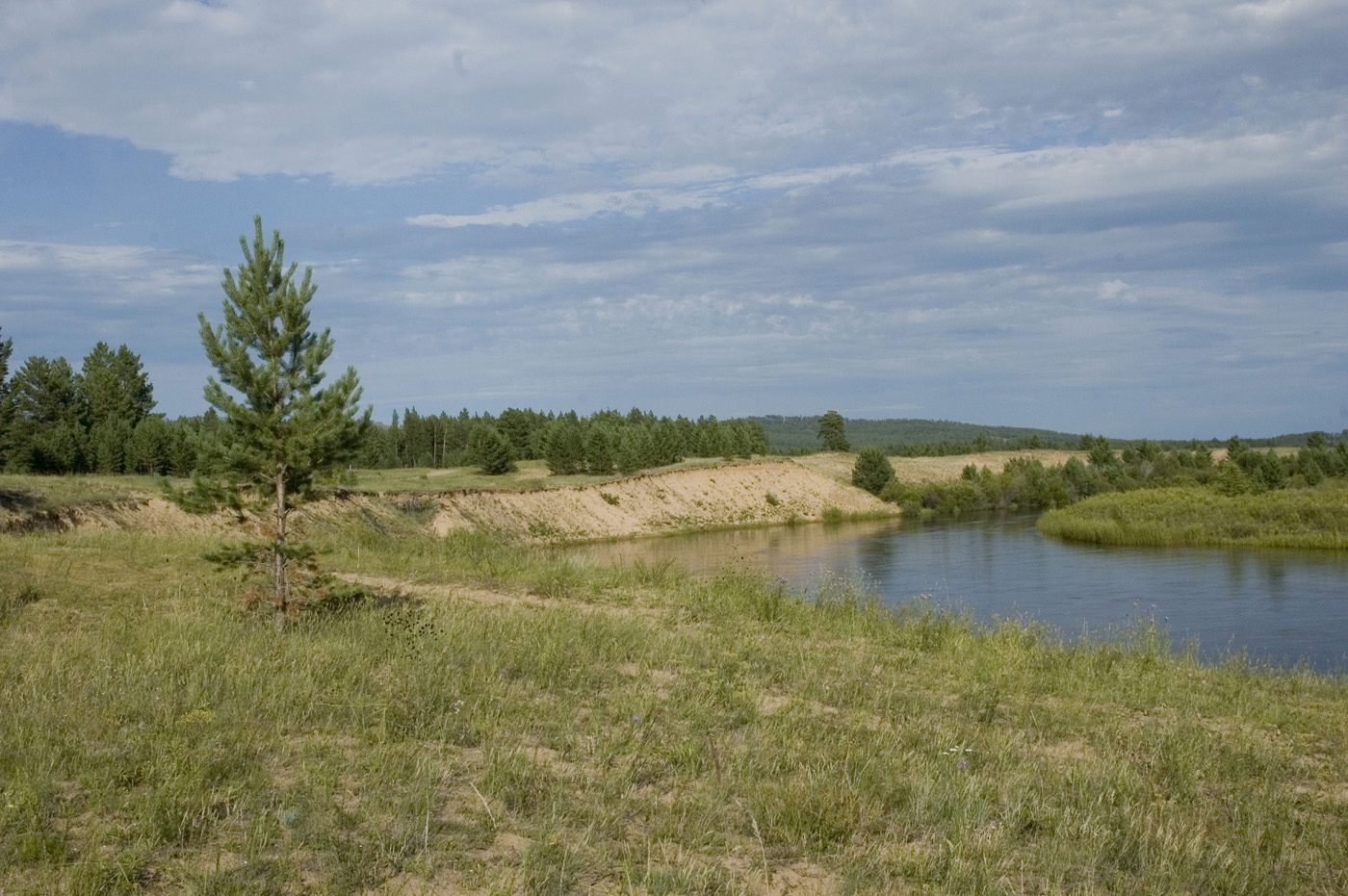 Излучина реки Кодун, image of landscape/habitat.