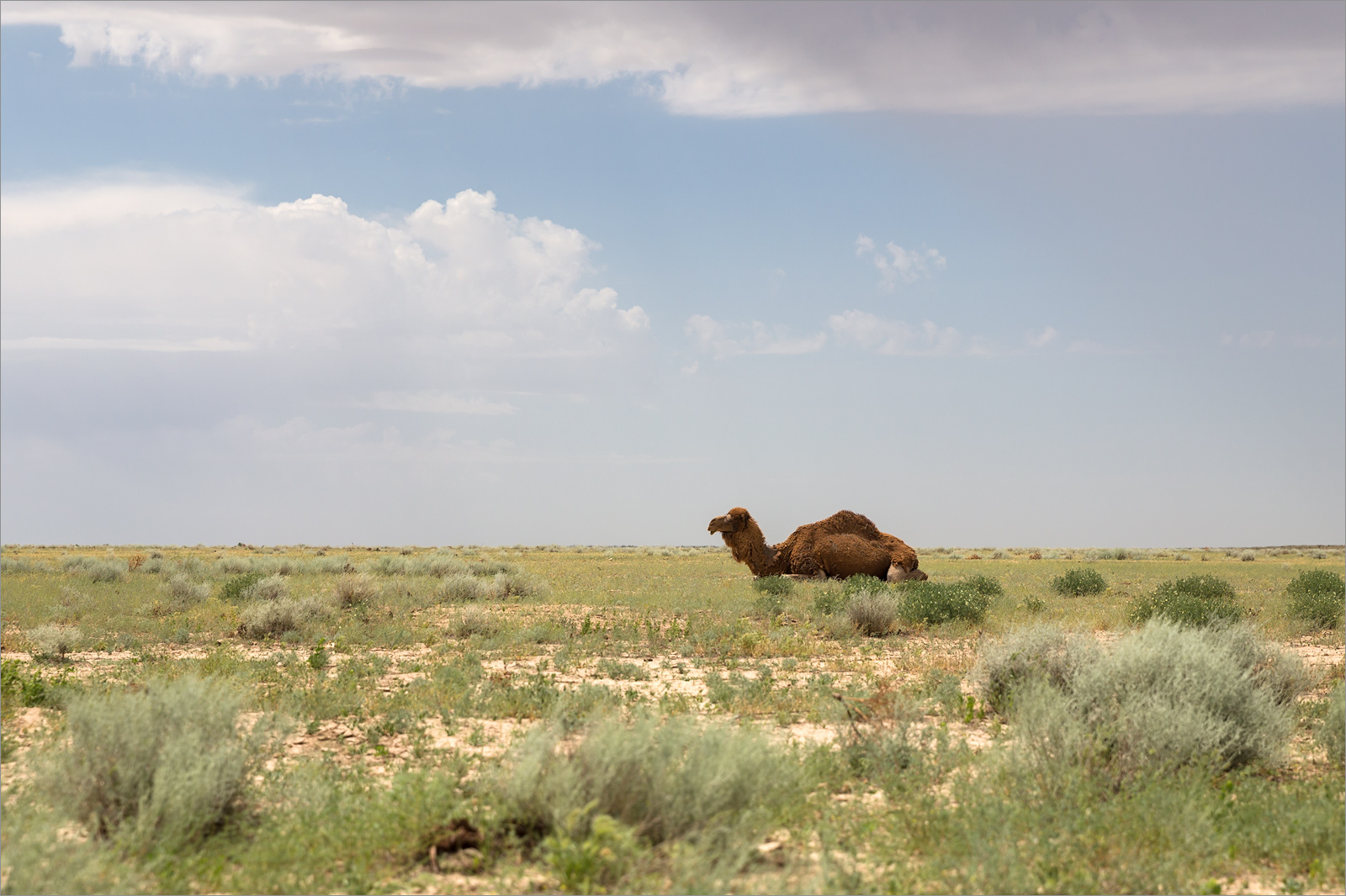 Ушшонкал, image of landscape/habitat.