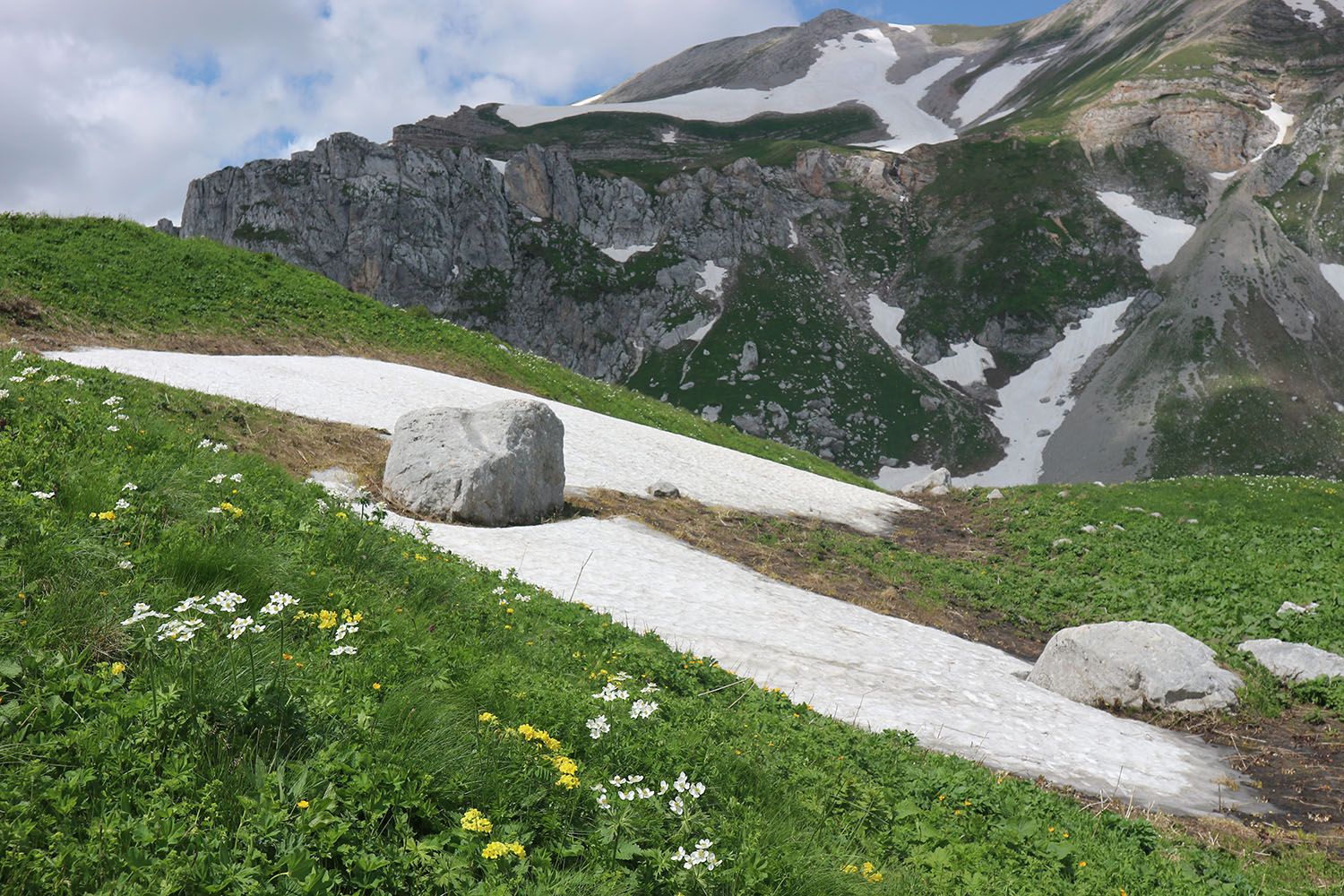 Гора Гузерипль, image of landscape/habitat.