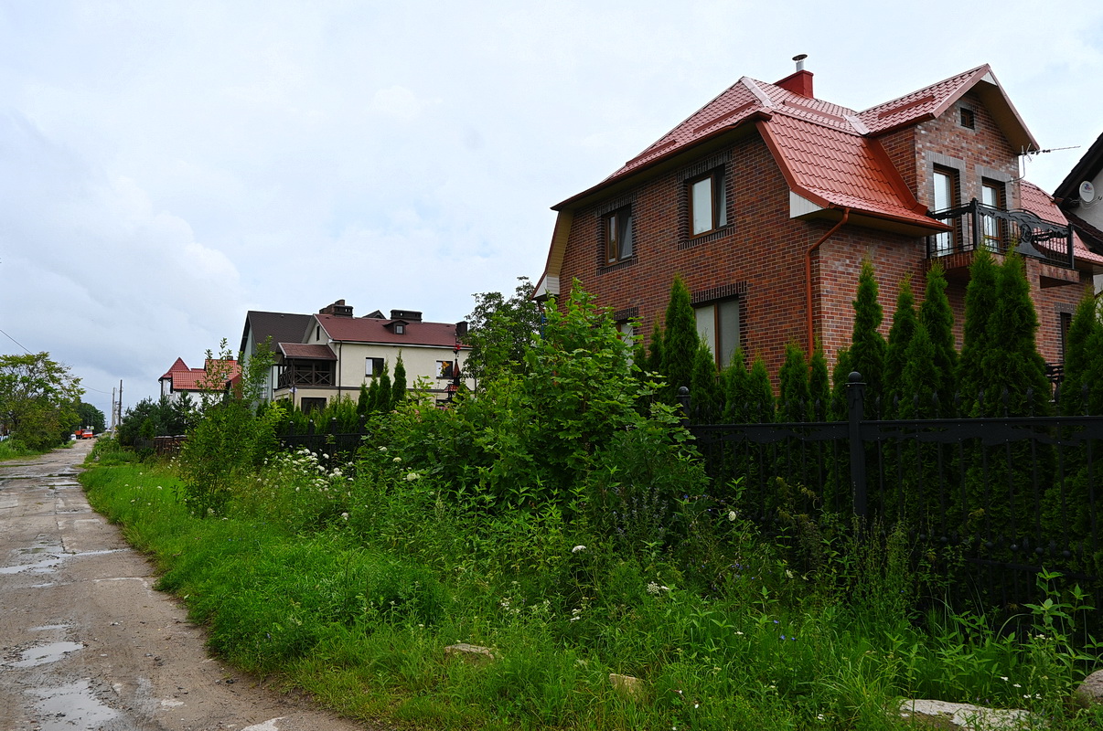 Янтарный, image of landscape/habitat.