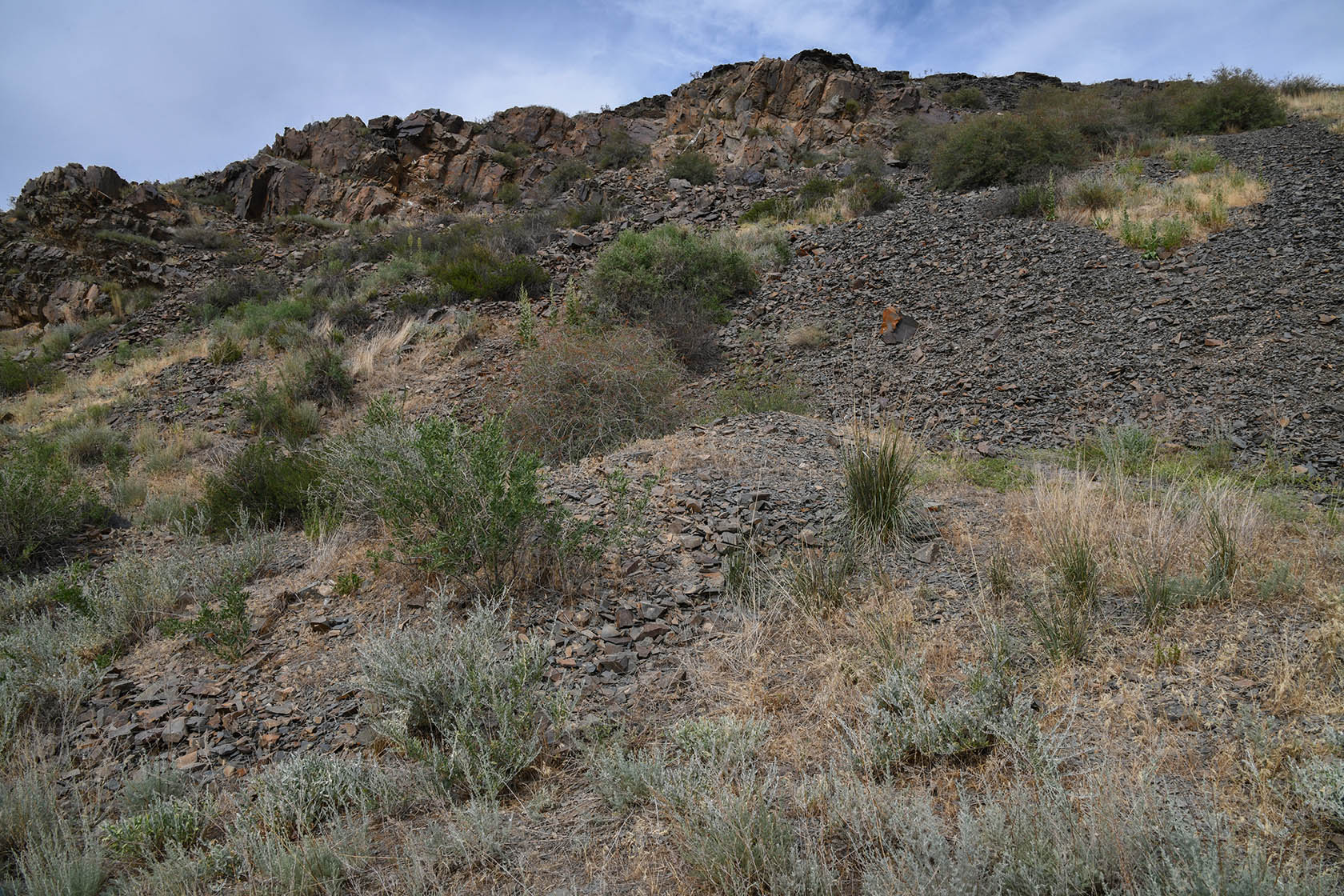 Тамгалы (Танбалы), изображение ландшафта.