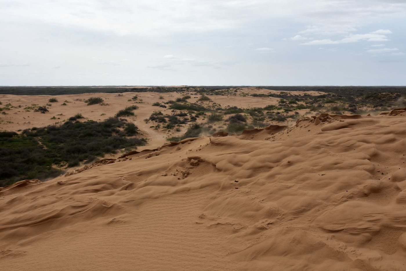 Бархан Большой Брат, image of landscape/habitat.