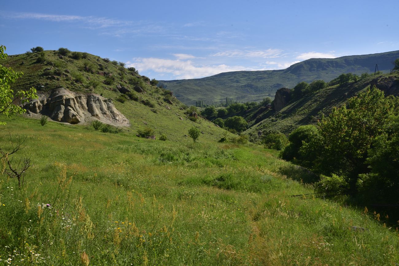 Урочище Тиреби, изображение ландшафта.