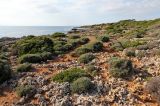 Image of landscape