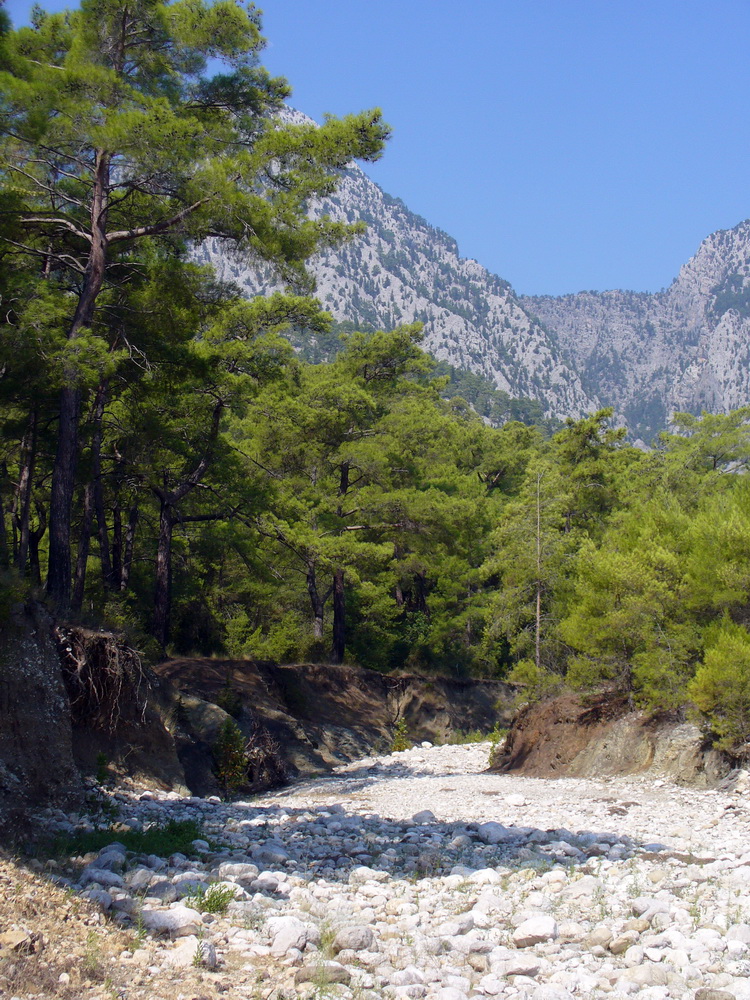 Бельдиби, image of landscape/habitat.