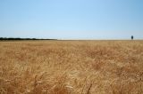 Image of landscape