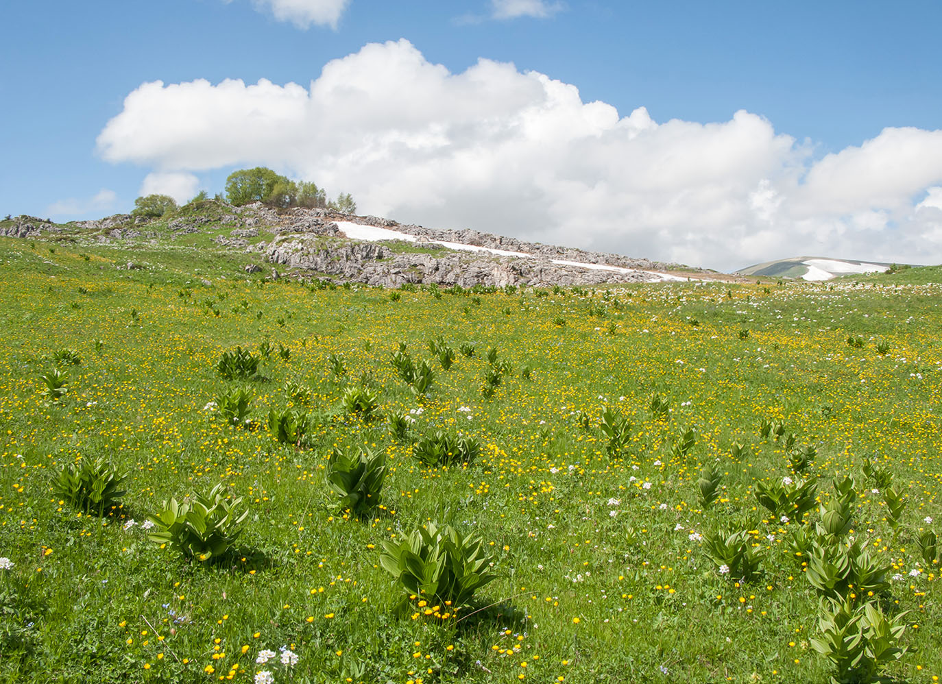 Абадзешский перевал, image of landscape/habitat.