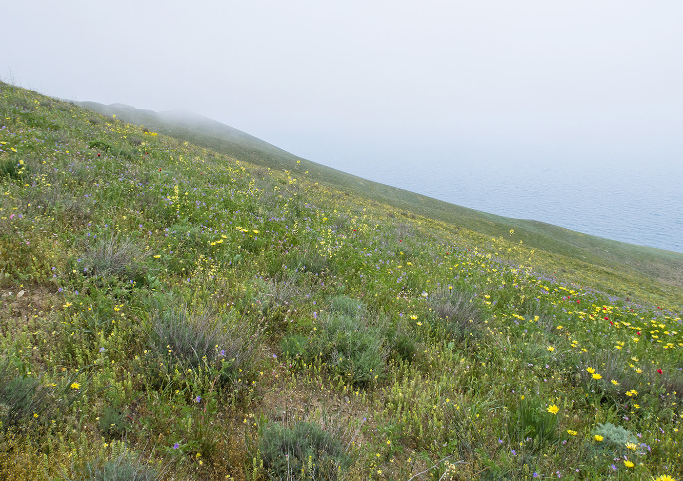 Гора Батон, image of landscape/habitat.