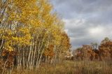 Image of landscape