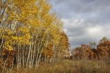 Монакино, image of landscape/habitat.