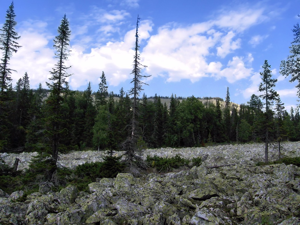 Зигальга, image of landscape/habitat.