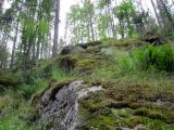 Image of landscape