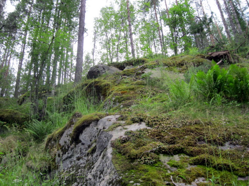 Сортавала, image of landscape/habitat.