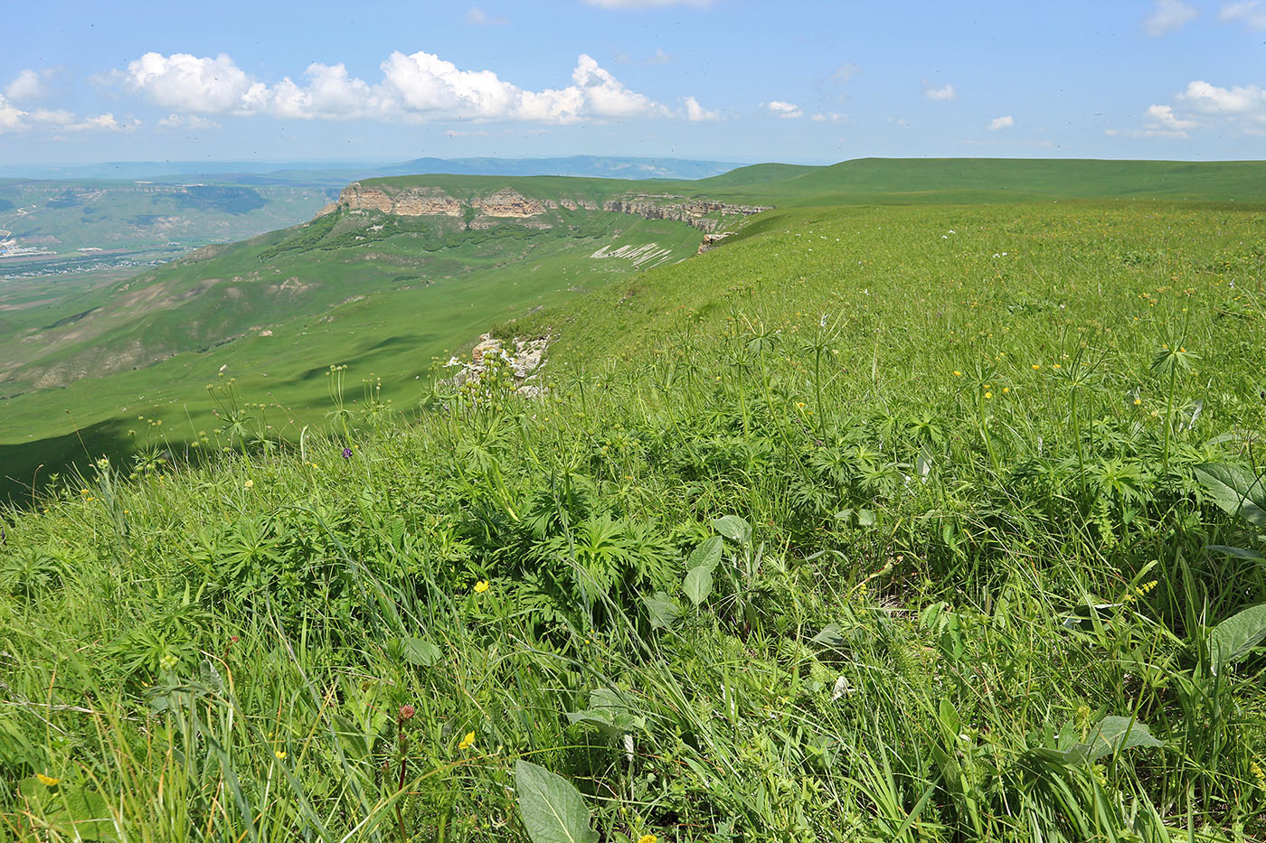 Джангур, image of landscape/habitat.