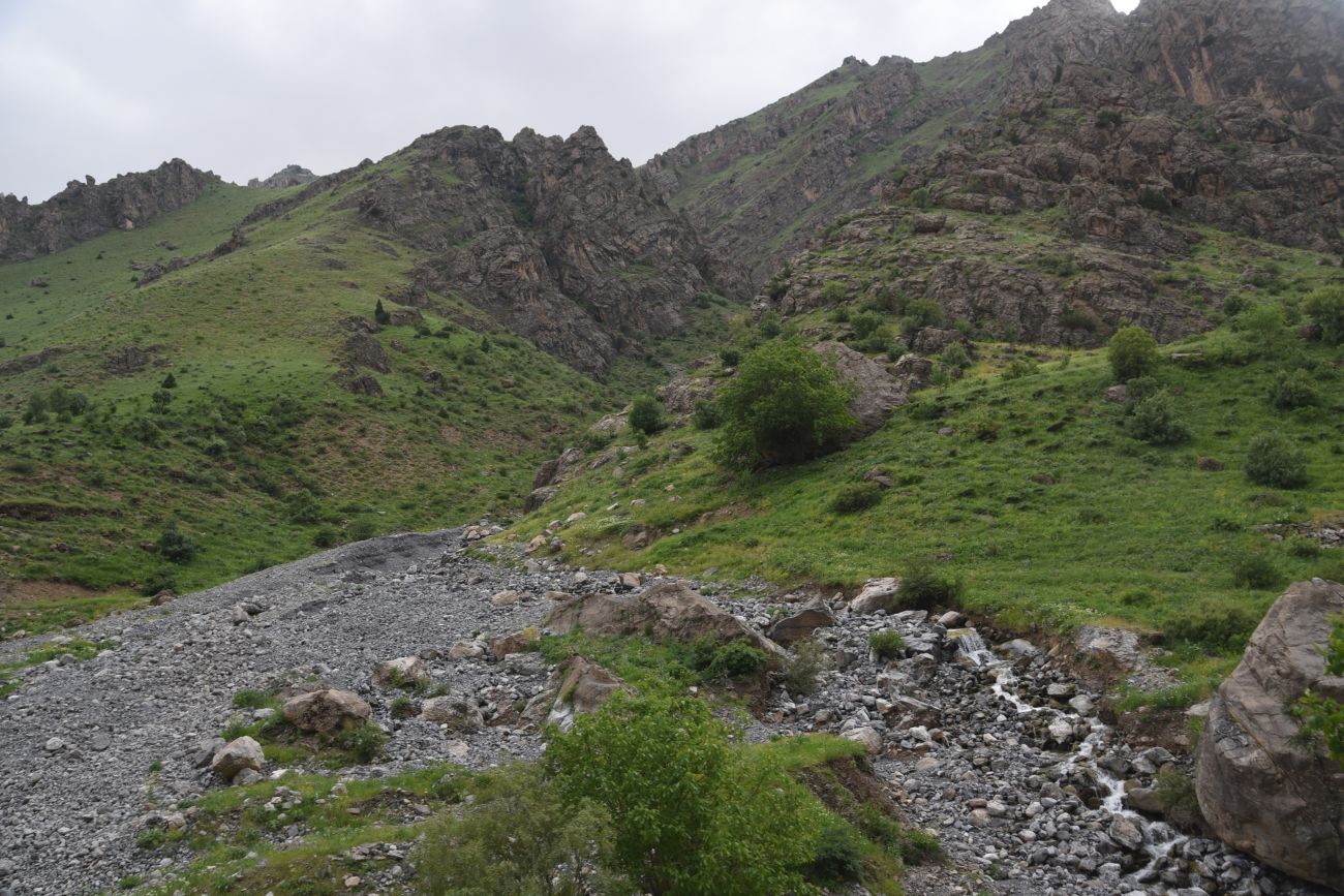 Водопад Гелезо, image of landscape/habitat.
