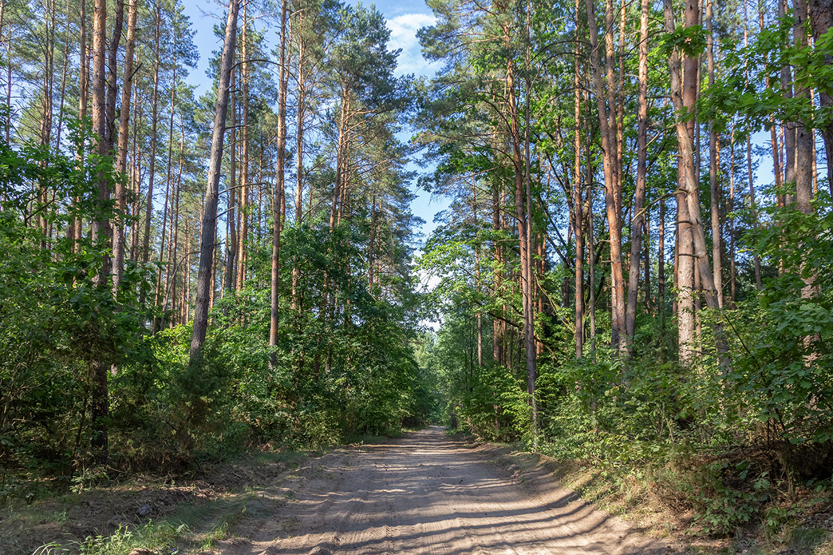 Бобинка и окрестности, image of landscape/habitat.