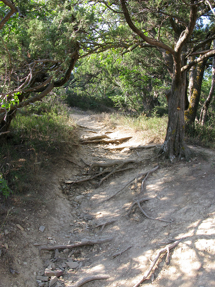 Большой Утриш, гора Солдатская, image of landscape/habitat.