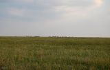 Image of landscape