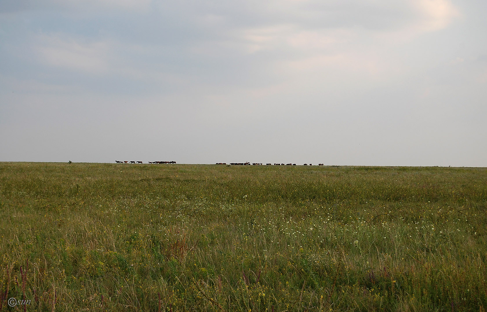 Луганск, image of landscape/habitat.
