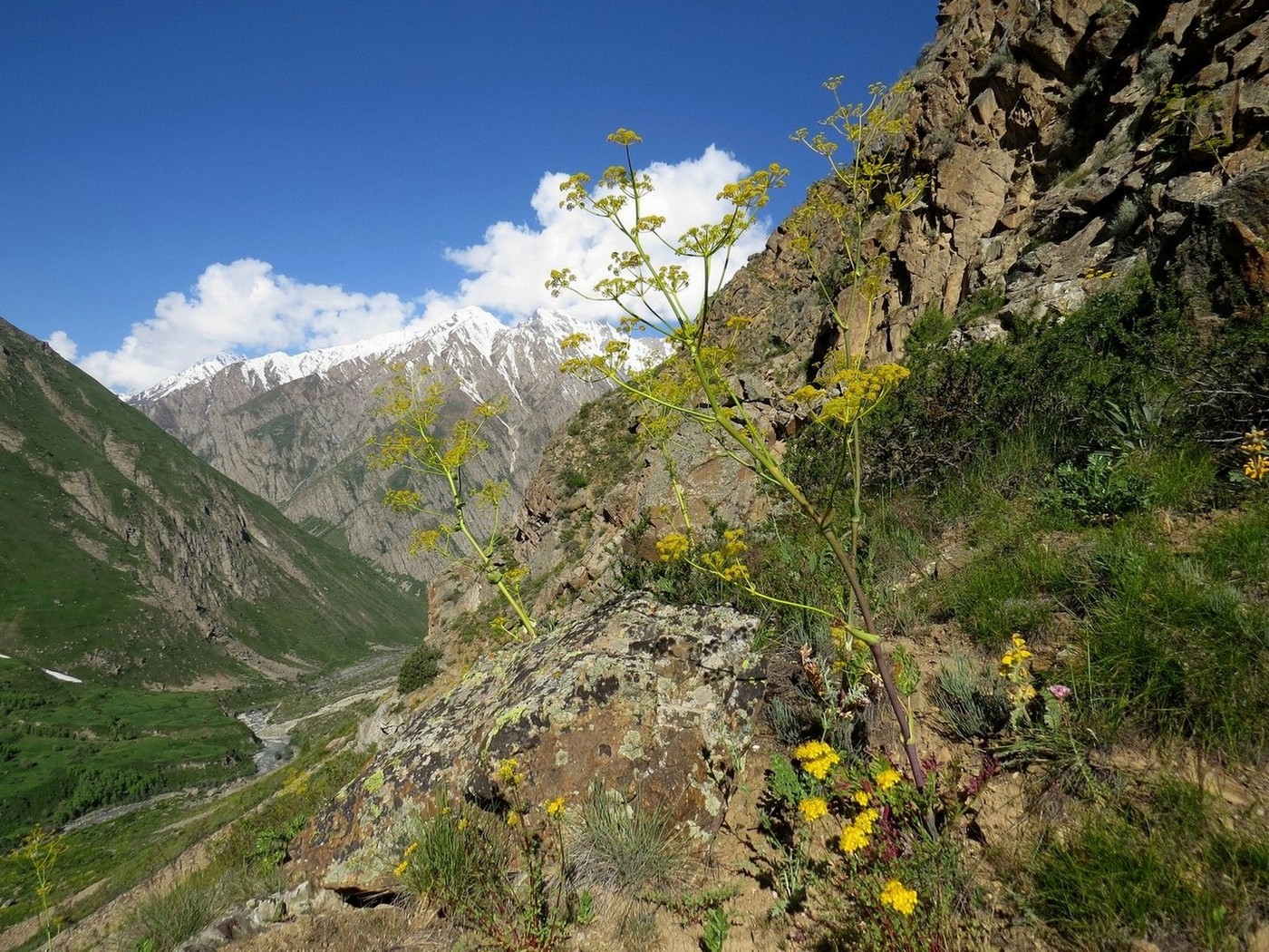 Обимазор, image of landscape/habitat.