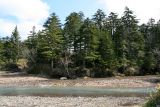 Окрестности Южно-Курильска, image of landscape/habitat.