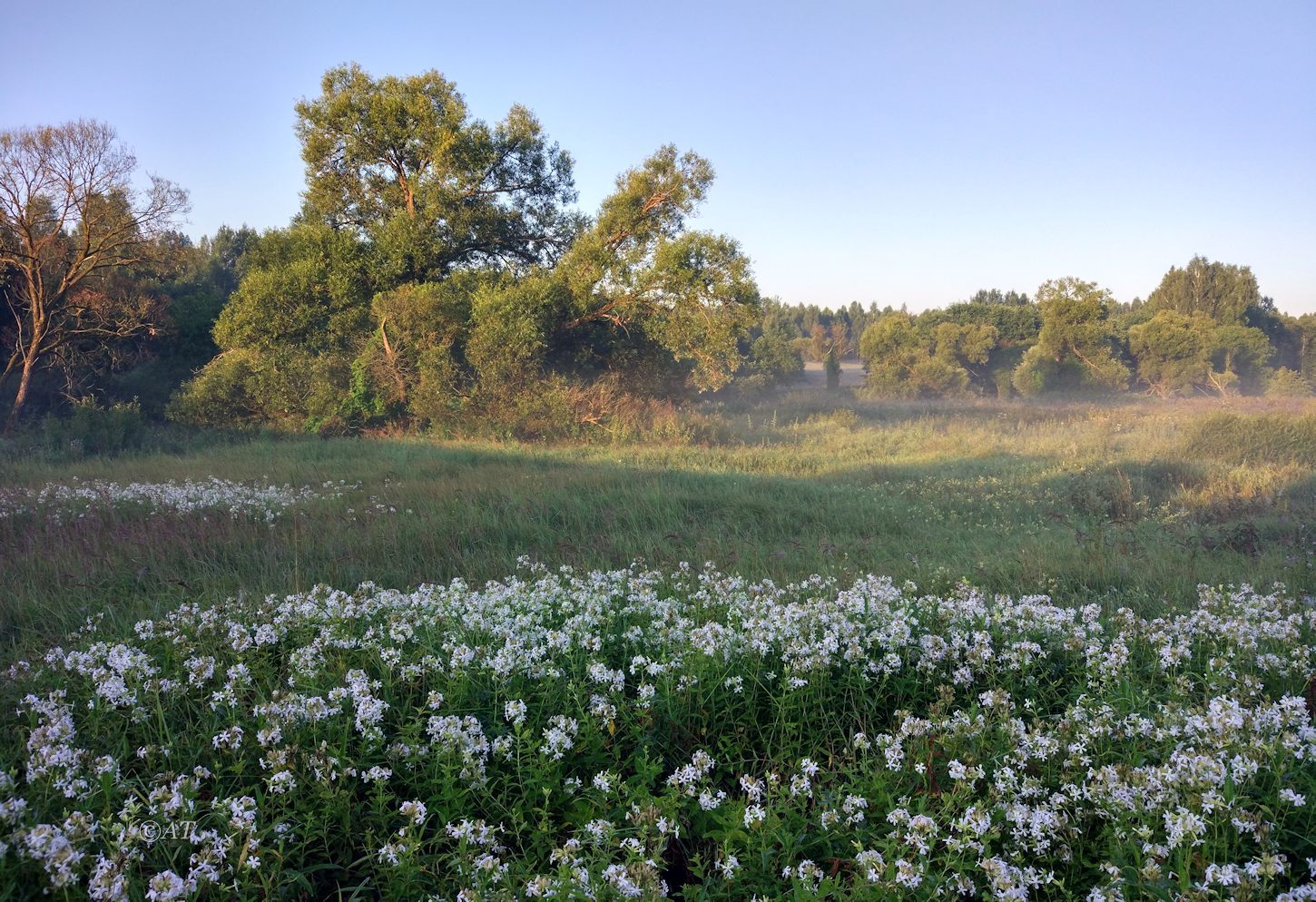 Клец, image of landscape/habitat.