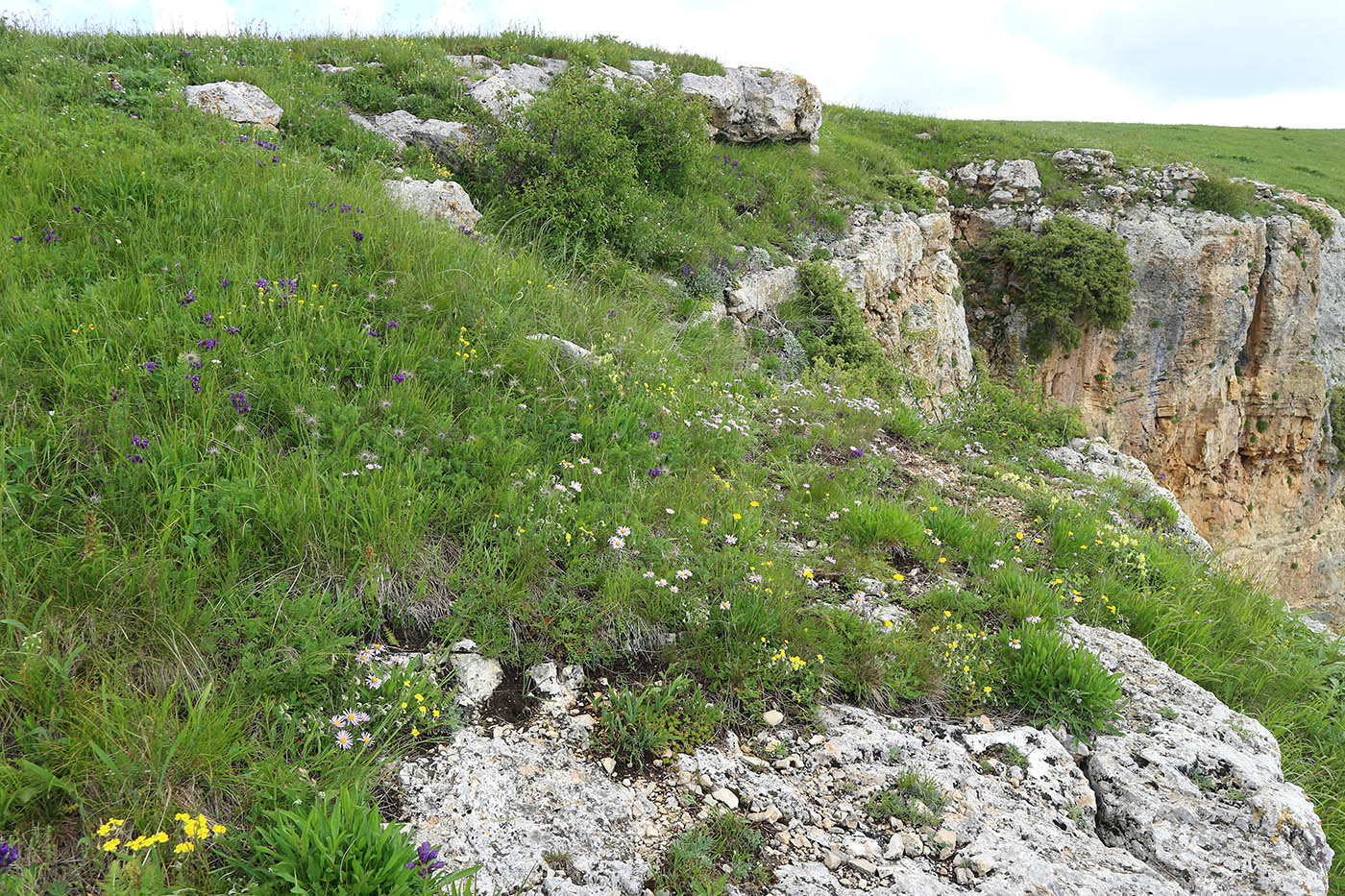Джангур, image of landscape/habitat.