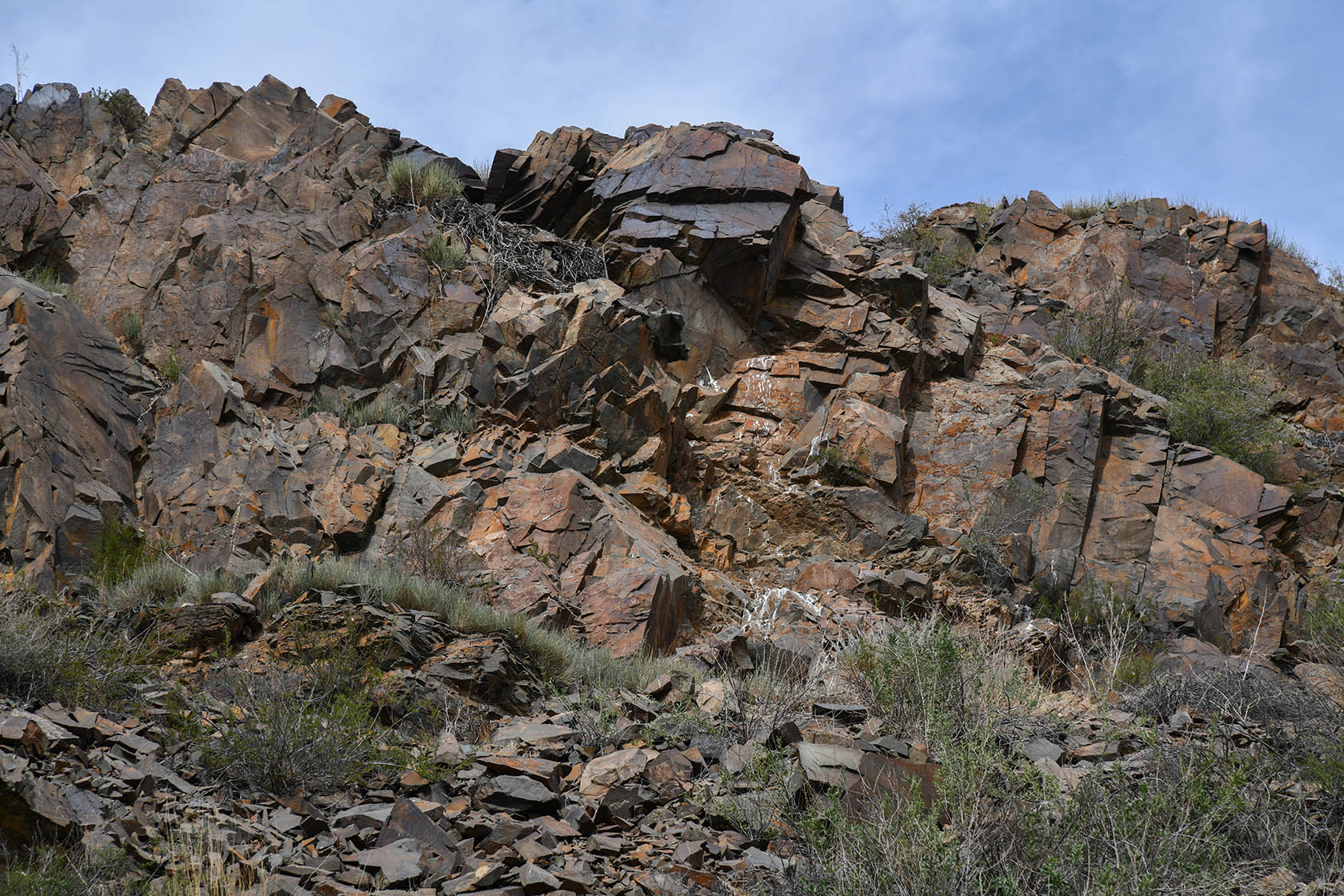 Тамгалы (Танбалы), изображение ландшафта.