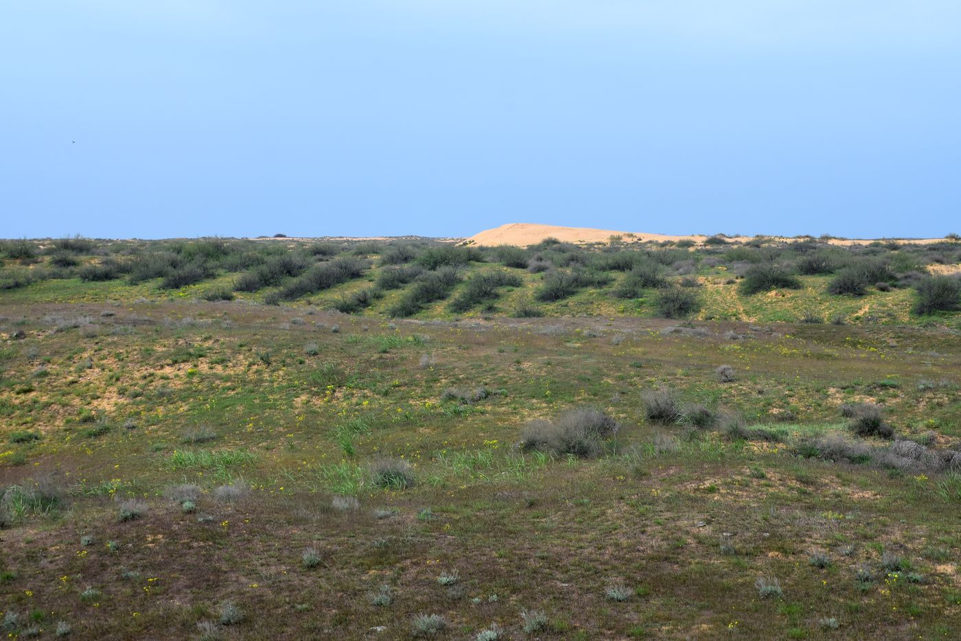 Бархан Большой Брат, image of landscape/habitat.