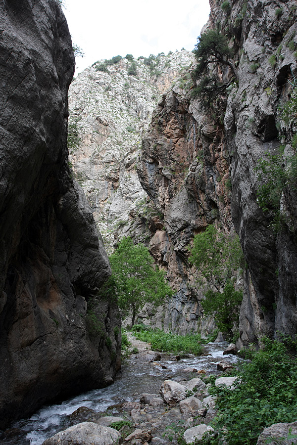 Ущелье Бургулюк, image of landscape/habitat.