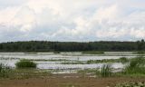 Костромское водохранилище, изображение ландшафта.