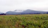 Image of landscape